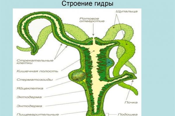 Кракен маркет darknet